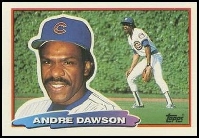 153 Andre Dawson